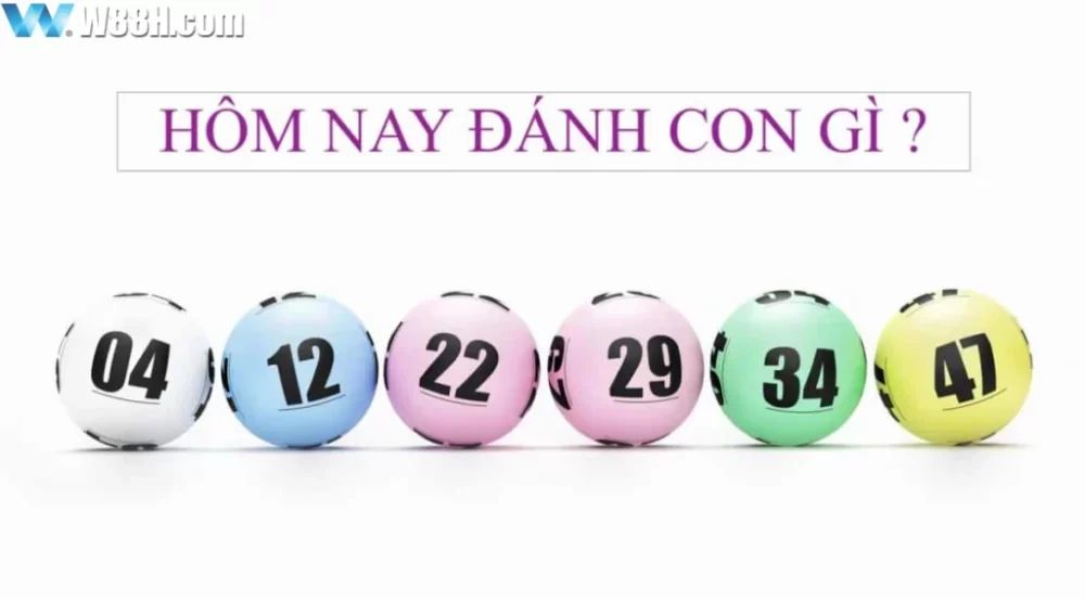 Kinh nghiệm ôm số đề hiệu quả