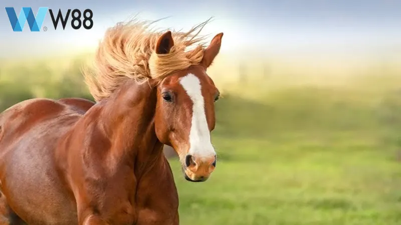 Mơ thấy ngựa đánh số gì tại nhà cái uy tín W88
