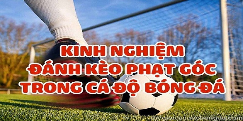 Những cách chơi kèo phạt góc cho tân cược thủ