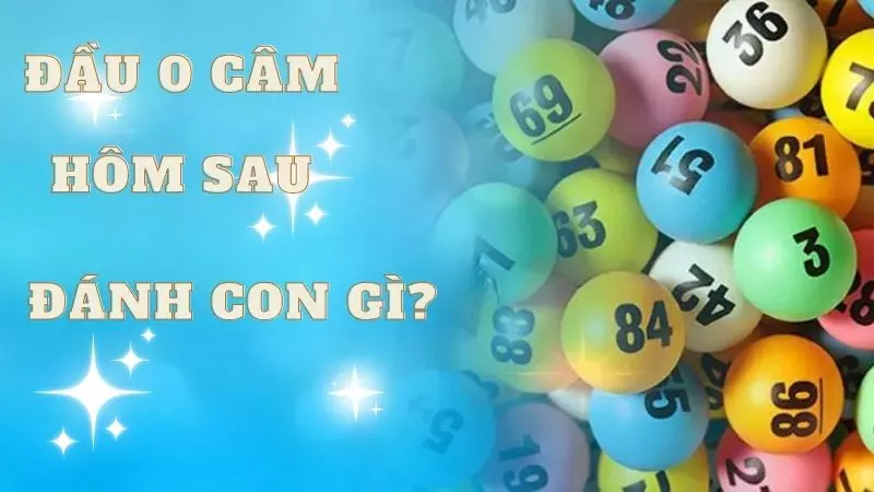 Giải Mã Câu Hỏi Đầu 0 Câm Hôm Sau Đánh Con Gì Cùng W88